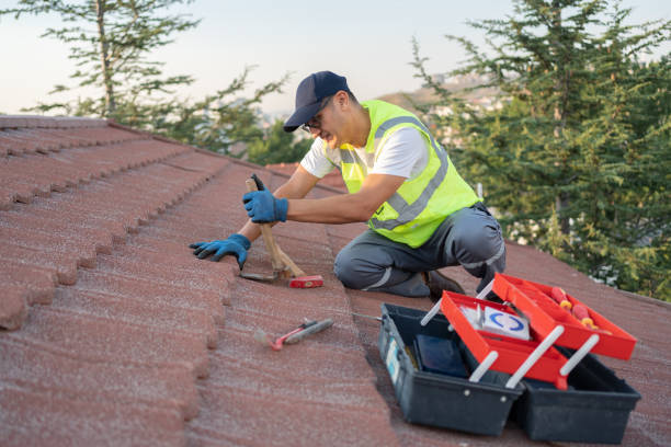 Sealant for Roof in Dunthorpe, OR